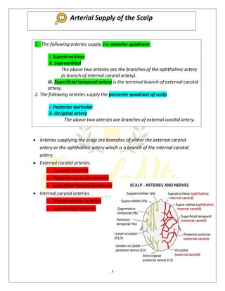 5
 Arteries supplying the scalp are branches of either the external carotid
artery or the ophthalmic artery which is a branch of the internal carotid
artery.
 External carotid arteries
o Occipital arteries
o Posterior auricular arteries
o Superficial temporal arteries
 Internal carotid arteries
o Supratrochlear arteries
o Supraorbital arteries
1. The following arteries supply the anterior quadrant:
i. Supratrochlear
ii. Supraorbital
The above two arteries are the branches of the ophthalmic artery
(a branch of internal carotid artery).
iii. Superficial temporal artery is the terminal branch of external carotid
artery.
2. The following arteries supply the posterior quadrant of scalp
i. Posterior auricular
ii. Occipital artery
The above two arteries are branches of external carotid artery.
Arterial Supply of the Scalp
 