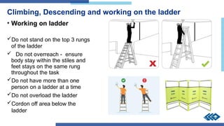 Comprehensive Guide to Safe Ladder Use and Maintenance Practices | PPTX