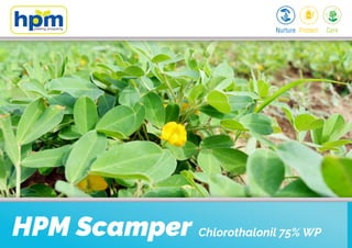 HPM Scamper Chlorothalonil 75% WP
 