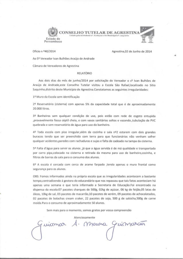 Relatorio conselho tutelar