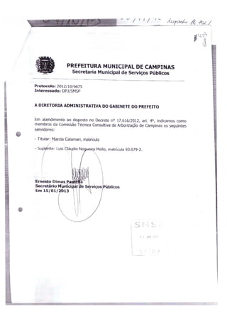 DPJ/Comissão 2012/13