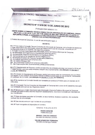 DPJ/Comissão 2012/13