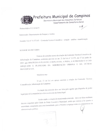 DPJ/Comissão 2012/13