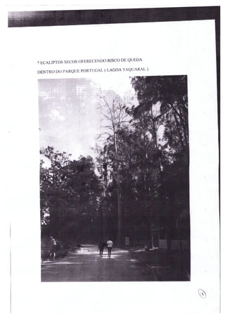 DPJ-Pq Taquaral/Supressão eucaliptos