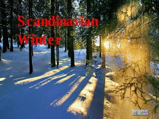 Scandinavian  Winter 