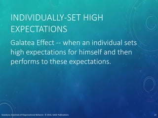INDIVIDUALLY-SET HIGH
EXPECTATIONS
Galatea Effect -- when an individual sets
high expectations for himself and then
performs to these expectations.
Scandura, Essentials of Organizational Behavior. © 2016, SAGE Publications. 22
 