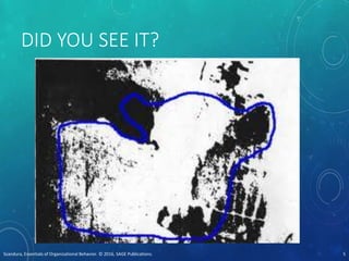 DID YOU SEE IT?
Scandura, Essentials of Organizational Behavior. © 2016, SAGE Publications. 5
 