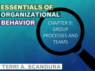 CHAPTER 9:
GROUP
PROCESSES AND
TEAMS
 