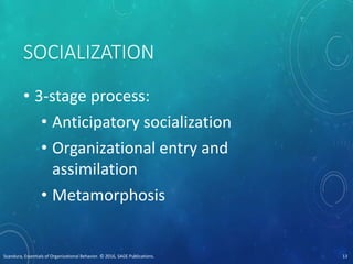 SOCIALIZATION
• 3-stage process:
• Anticipatory socialization
• Organizational entry and
assimilation
• Metamorphosis
Scandura, Essentials of Organizational Behavior. © 2016, SAGE Publications. 13
 