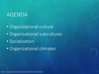 AGENDA
• Organizational culture
• Organizational subcultures
• Socialization
• Organizational climates
Scandura, Essentials of Organizational Behavior. © 2016, SAGE Publications. 2
 