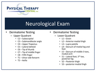 Neurological Exam
• Dermatome Testing
– Upper Quadrant
• C2 – Suboccipital
• C3 – Submandibular angle
• C4 – Upper Trapezius
• C5 – Lateral deltoid
• C6 – Tip of thumb
• C7 – Tip of middle finger
• C8 – Fifth finger
• T1 – Ulnar side forearm
• T2 – Axilla
• Dermatome Testing
– Lower Quadrant
• L1 – Groin
• L2 – Anterior medial thigh
• L3 – supra patella
• L4 – Dorsum of medial leg and
foot
• L5 – Dorsum of middle 3 toes,
medial arch
• S1 – Lateral foot, 5th toe,
posterior leg
• S2 – Posterior thigh
• S3 – posterior medial thigh
 
