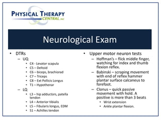 Neurological Exam
• DTRs
– UQ
• C4 - Levator scapula
• C5 – Deltoid
• C6 – biceps, brachiorad
• C7 – Triceps
• C8 – Ext Pollicis Longus
• T1 – Hypothenar
– LQ
• L3 – hip adductors, patella
tendon
• L4 – Anterior tibialis
• L5 – Fibularis longus, EDM
• S1 – Achilles tendon
• Upper motor neuron tests
– Hoffman’s – flick middle finger,
watching for index and thumb
flexion reflex.
– Babinski – scraping movement
with end of reflex hammer
plantar surface calcaneus to
forefoot.
– Clonus – quick passive
movement with hold. A
positive is more than 3 beats
• Wrist extension
• Ankle plantar flexion.
 