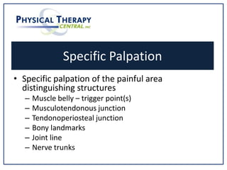 Specific Palpation
• Specific palpation of the painful area
distinguishing structures
– Muscle belly – trigger point(s)
– Musculotendonous junction
– Tendonoperiosteal junction
– Bony landmarks
– Joint line
– Nerve trunks
 