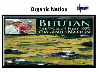 Organic Nation
 