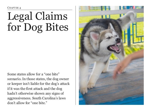 South Carolina Dog Bite Statute South Carolina Dog Bite Statute