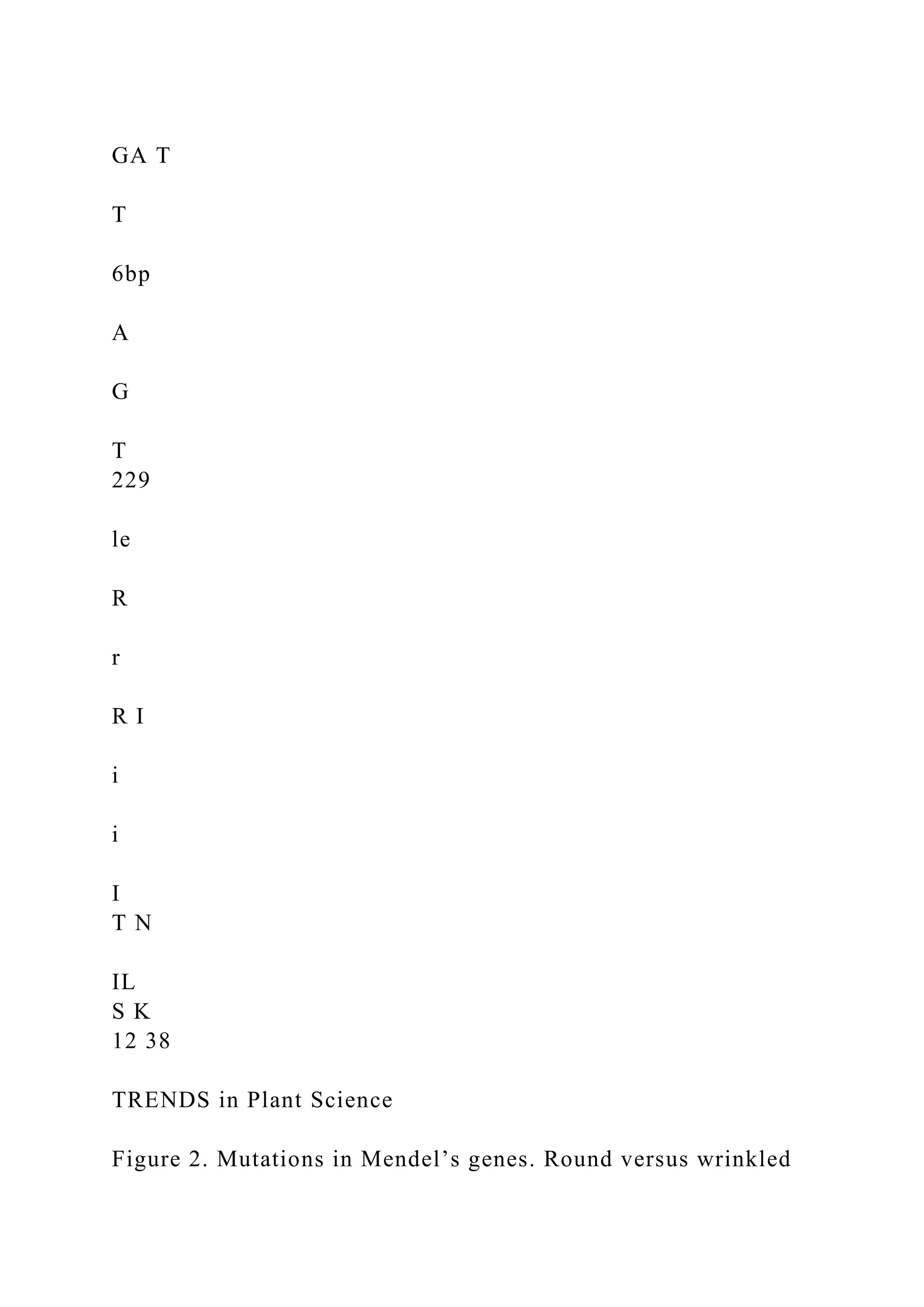 GA T
T
6bp
A
G
T
229
le
R
r
R I
i
i
I
T N
IL
S K
12 38
TRENDS in Plant Science
Figure 2. Mutations in Mendel’s genes. Round versus wrinkled
 
