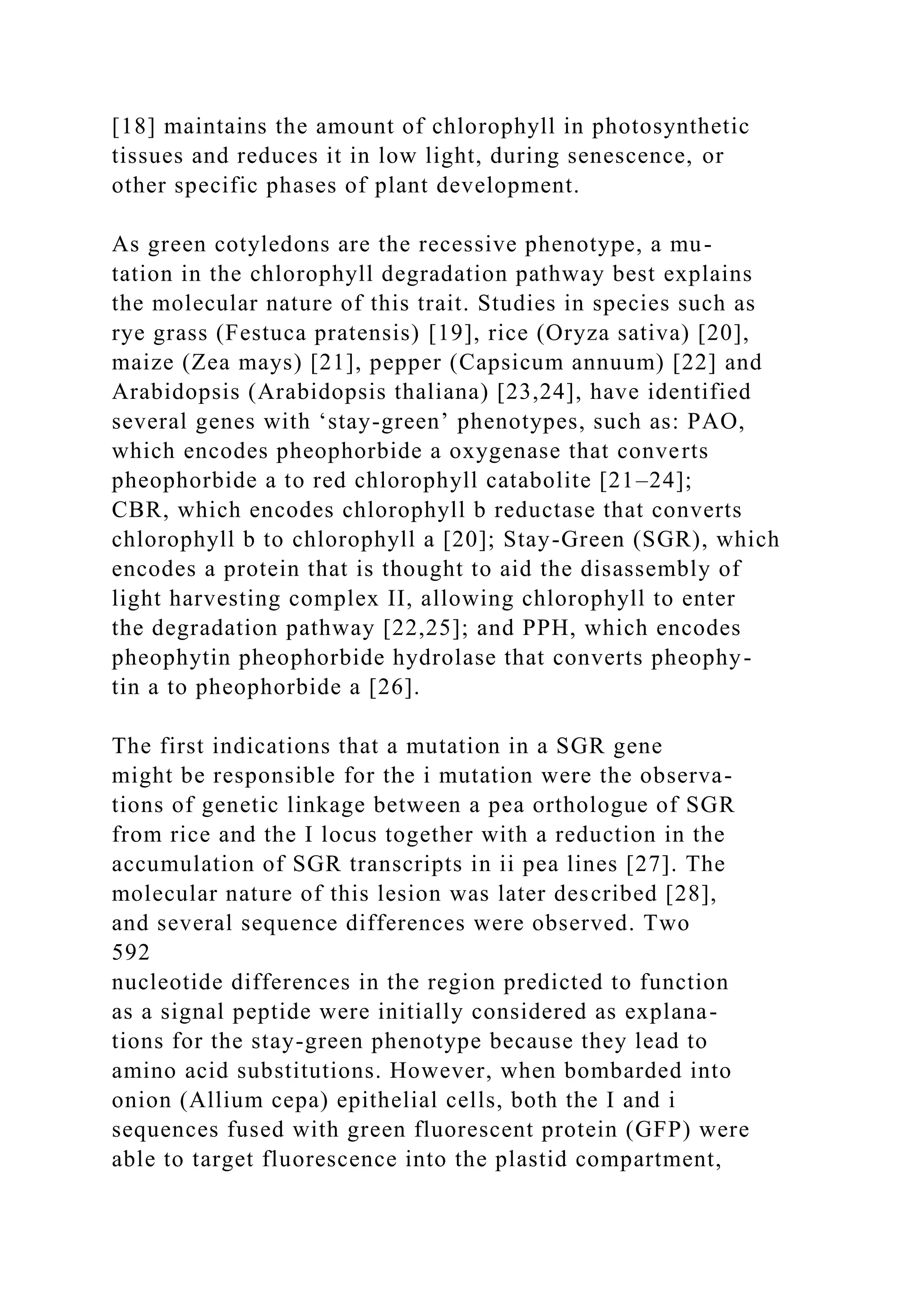 [18] maintains the amount of chlorophyll in photosynthetic
tissues and reduces it in low light, during senescence, or
other specific phases of plant development.
As green cotyledons are the recessive phenotype, a mu-
tation in the chlorophyll degradation pathway best explains
the molecular nature of this trait. Studies in species such as
rye grass (Festuca pratensis) [19], rice (Oryza sativa) [20],
maize (Zea mays) [21], pepper (Capsicum annuum) [22] and
Arabidopsis (Arabidopsis thaliana) [23,24], have identified
several genes with ‘stay-green’ phenotypes, such as: PAO,
which encodes pheophorbide a oxygenase that converts
pheophorbide a to red chlorophyll catabolite [21–24];
CBR, which encodes chlorophyll b reductase that converts
chlorophyll b to chlorophyll a [20]; Stay-Green (SGR), which
encodes a protein that is thought to aid the disassembly of
light harvesting complex II, allowing chlorophyll to enter
the degradation pathway [22,25]; and PPH, which encodes
pheophytin pheophorbide hydrolase that converts pheophy-
tin a to pheophorbide a [26].
The first indications that a mutation in a SGR gene
might be responsible for the i mutation were the observa-
tions of genetic linkage between a pea orthologue of SGR
from rice and the I locus together with a reduction in the
accumulation of SGR transcripts in ii pea lines [27]. The
molecular nature of this lesion was later described [28],
and several sequence differences were observed. Two
592
nucleotide differences in the region predicted to function
as a signal peptide were initially considered as explana-
tions for the stay-green phenotype because they lead to
amino acid substitutions. However, when bombarded into
onion (Allium cepa) epithelial cells, both the I and i
sequences fused with green fluorescent protein (GFP) were
able to target fluorescence into the plastid compartment,
 