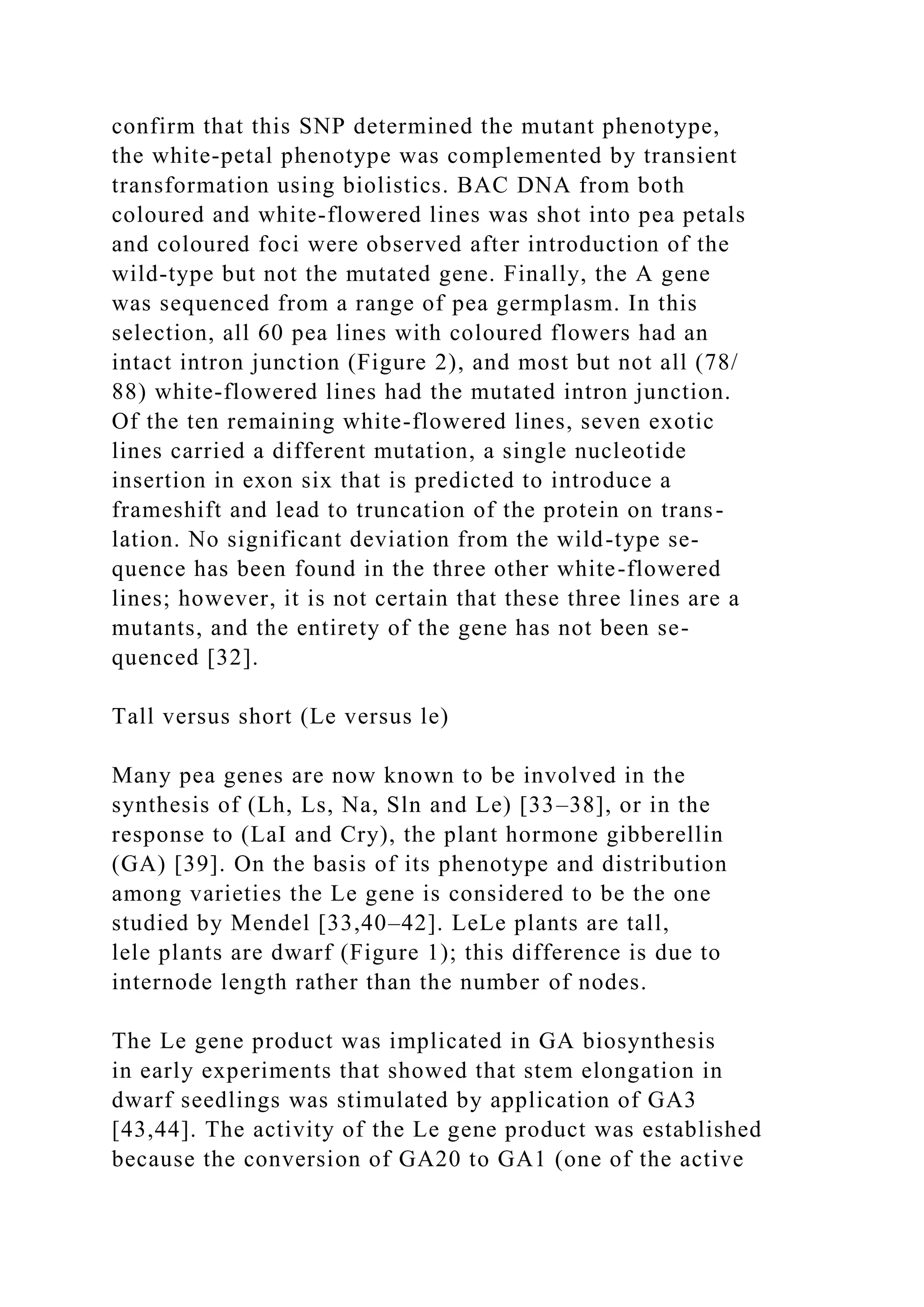 confirm that this SNP determined the mutant phenotype,
the white-petal phenotype was complemented by transient
transformation using biolistics. BAC DNA from both
coloured and white-flowered lines was shot into pea petals
and coloured foci were observed after introduction of the
wild-type but not the mutated gene. Finally, the A gene
was sequenced from a range of pea germplasm. In this
selection, all 60 pea lines with coloured flowers had an
intact intron junction (Figure 2), and most but not all (78/
88) white-flowered lines had the mutated intron junction.
Of the ten remaining white-flowered lines, seven exotic
lines carried a different mutation, a single nucleotide
insertion in exon six that is predicted to introduce a
frameshift and lead to truncation of the protein on trans-
lation. No significant deviation from the wild-type se-
quence has been found in the three other white-flowered
lines; however, it is not certain that these three lines are a
mutants, and the entirety of the gene has not been se-
quenced [32].
Tall versus short (Le versus le)
Many pea genes are now known to be involved in the
synthesis of (Lh, Ls, Na, Sln and Le) [33–38], or in the
response to (LaI and Cry), the plant hormone gibberellin
(GA) [39]. On the basis of its phenotype and distribution
among varieties the Le gene is considered to be the one
studied by Mendel [33,40–42]. LeLe plants are tall,
lele plants are dwarf (Figure 1); this difference is due to
internode length rather than the number of nodes.
The Le gene product was implicated in GA biosynthesis
in early experiments that showed that stem elongation in
dwarf seedlings was stimulated by application of GA3
[43,44]. The activity of the Le gene product was established
because the conversion of GA20 to GA1 (one of the active
 