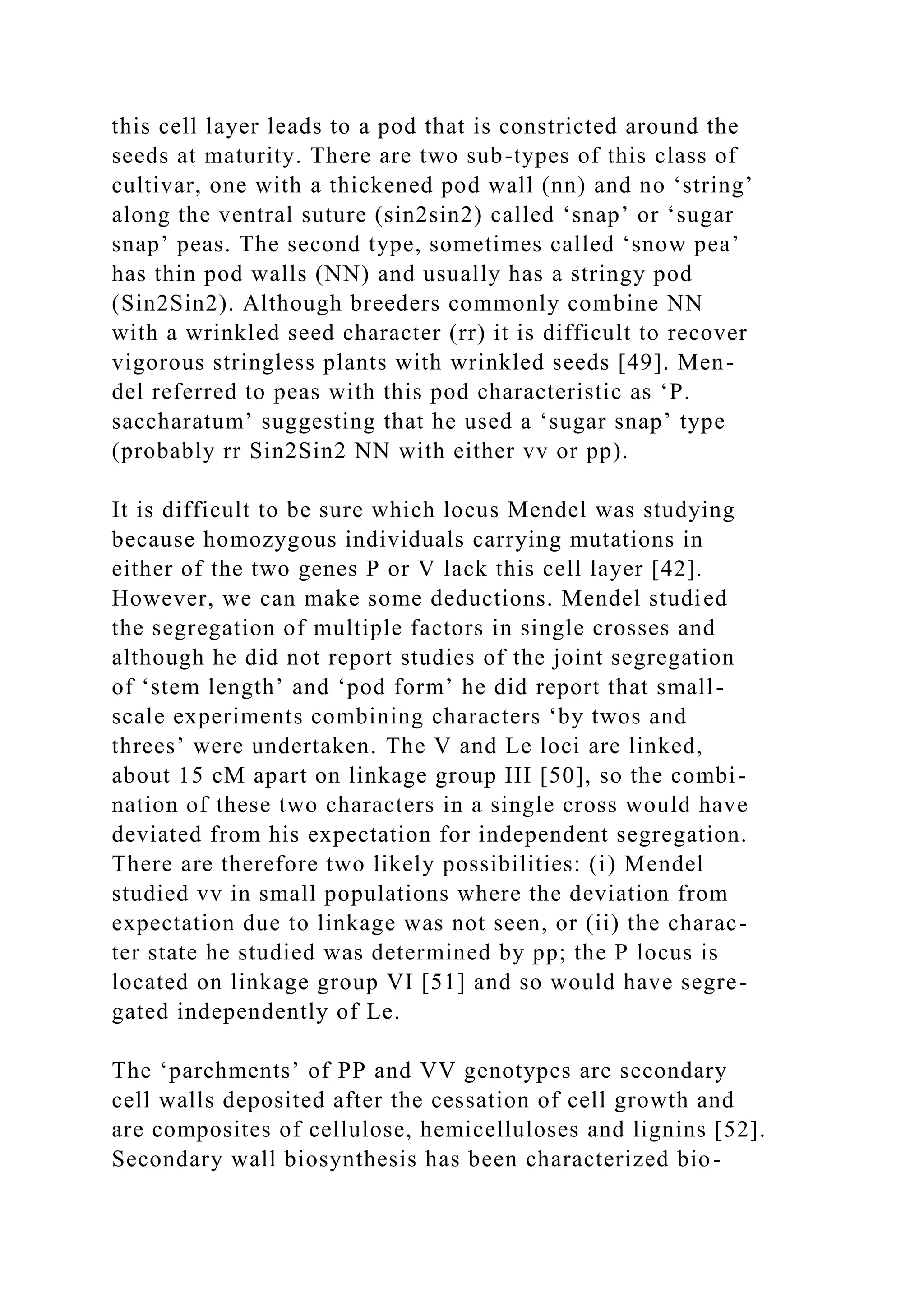 this cell layer leads to a pod that is constricted around the
seeds at maturity. There are two sub-types of this class of
cultivar, one with a thickened pod wall (nn) and no ‘string’
along the ventral suture (sin2sin2) called ‘snap’ or ‘sugar
snap’ peas. The second type, sometimes called ‘snow pea’
has thin pod walls (NN) and usually has a stringy pod
(Sin2Sin2). Although breeders commonly combine NN
with a wrinkled seed character (rr) it is difficult to recover
vigorous stringless plants with wrinkled seeds [49]. Men-
del referred to peas with this pod characteristic as ‘P.
saccharatum’ suggesting that he used a ‘sugar snap’ type
(probably rr Sin2Sin2 NN with either vv or pp).
It is difficult to be sure which locus Mendel was studying
because homozygous individuals carrying mutations in
either of the two genes P or V lack this cell layer [42].
However, we can make some deductions. Mendel studied
the segregation of multiple factors in single crosses and
although he did not report studies of the joint segregation
of ‘stem length’ and ‘pod form’ he did report that small-
scale experiments combining characters ‘by twos and
threes’ were undertaken. The V and Le loci are linked,
about 15 cM apart on linkage group III [50], so the combi-
nation of these two characters in a single cross would have
deviated from his expectation for independent segregation.
There are therefore two likely possibilities: (i) Mendel
studied vv in small populations where the deviation from
expectation due to linkage was not seen, or (ii) the charac-
ter state he studied was determined by pp; the P locus is
located on linkage group VI [51] and so would have segre-
gated independently of Le.
The ‘parchments’ of PP and VV genotypes are secondary
cell walls deposited after the cessation of cell growth and
are composites of cellulose, hemicelluloses and lignins [52].
Secondary wall biosynthesis has been characterized bio-
 