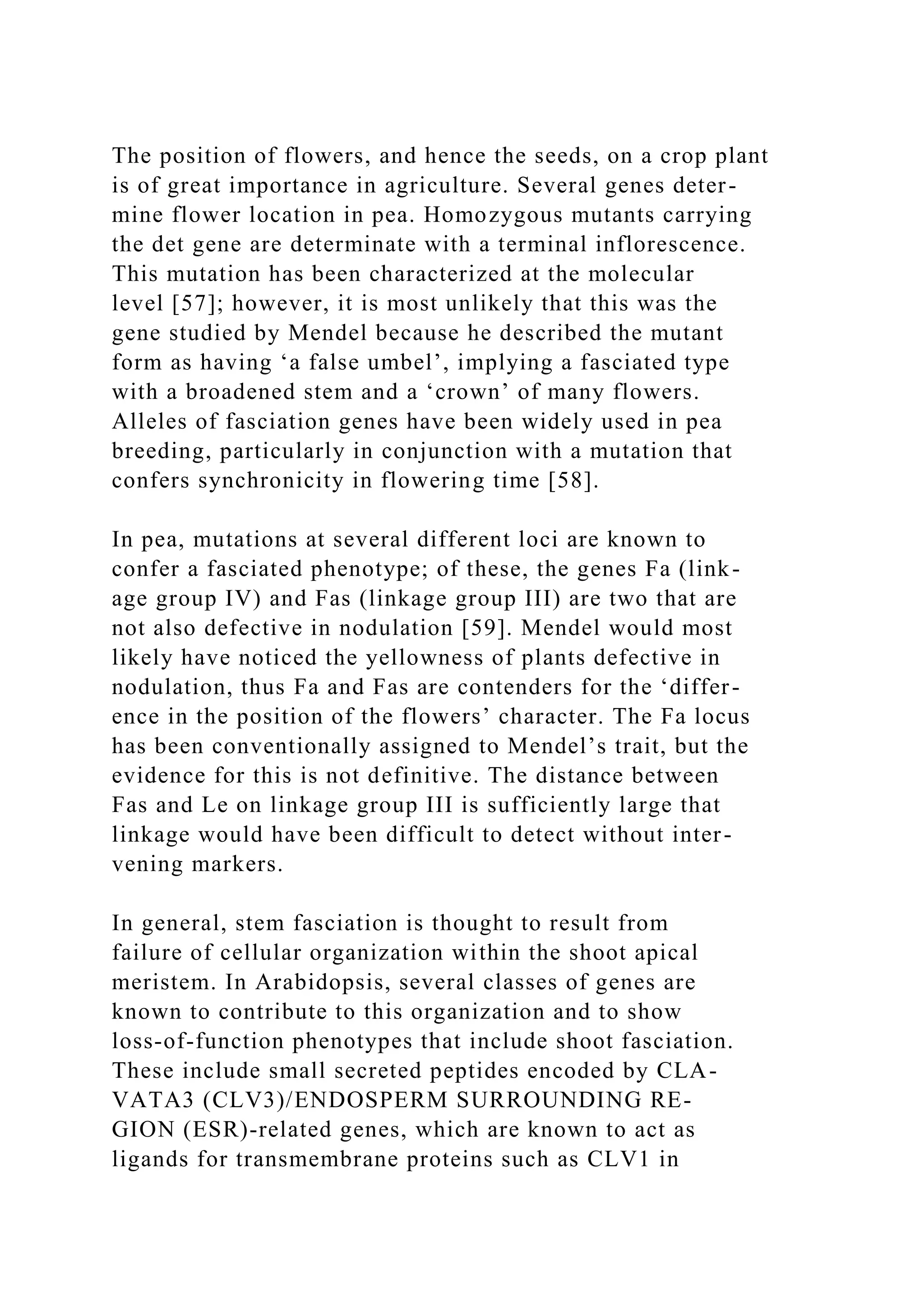 The position of flowers, and hence the seeds, on a crop plant
is of great importance in agriculture. Several genes deter-
mine flower location in pea. Homozygous mutants carrying
the det gene are determinate with a terminal inflorescence.
This mutation has been characterized at the molecular
level [57]; however, it is most unlikely that this was the
gene studied by Mendel because he described the mutant
form as having ‘a false umbel’, implying a fasciated type
with a broadened stem and a ‘crown’ of many flowers.
Alleles of fasciation genes have been widely used in pea
breeding, particularly in conjunction with a mutation that
confers synchronicity in flowering time [58].
In pea, mutations at several different loci are known to
confer a fasciated phenotype; of these, the genes Fa (link-
age group IV) and Fas (linkage group III) are two that are
not also defective in nodulation [59]. Mendel would most
likely have noticed the yellowness of plants defective in
nodulation, thus Fa and Fas are contenders for the ‘differ-
ence in the position of the flowers’ character. The Fa locus
has been conventionally assigned to Mendel’s trait, but the
evidence for this is not definitive. The distance between
Fas and Le on linkage group III is sufficiently large that
linkage would have been difficult to detect without inter-
vening markers.
In general, stem fasciation is thought to result from
failure of cellular organization within the shoot apical
meristem. In Arabidopsis, several classes of genes are
known to contribute to this organization and to show
loss-of-function phenotypes that include shoot fasciation.
These include small secreted peptides encoded by CLA-
VATA3 (CLV3)/ENDOSPERM SURROUNDING RE-
GION (ESR)-related genes, which are known to act as
ligands for transmembrane proteins such as CLV1 in
 