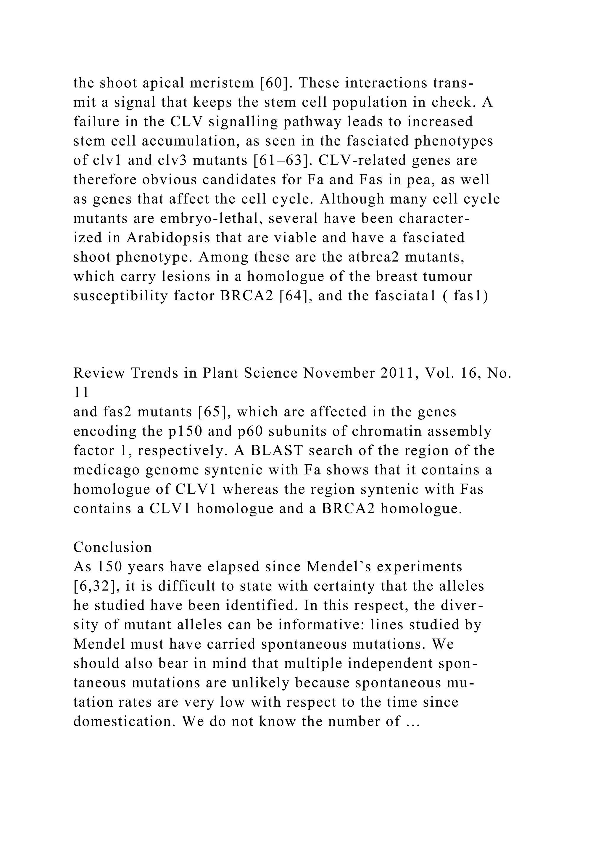 the shoot apical meristem [60]. These interactions trans-
mit a signal that keeps the stem cell population in check. A
failure in the CLV signalling pathway leads to increased
stem cell accumulation, as seen in the fasciated phenotypes
of clv1 and clv3 mutants [61–63]. CLV-related genes are
therefore obvious candidates for Fa and Fas in pea, as well
as genes that affect the cell cycle. Although many cell cycle
mutants are embryo-lethal, several have been character-
ized in Arabidopsis that are viable and have a fasciated
shoot phenotype. Among these are the atbrca2 mutants,
which carry lesions in a homologue of the breast tumour
susceptibility factor BRCA2 [64], and the fasciata1 ( fas1)
Review Trends in Plant Science November 2011, Vol. 16, No.
11
and fas2 mutants [65], which are affected in the genes
encoding the p150 and p60 subunits of chromatin assembly
factor 1, respectively. A BLAST search of the region of the
medicago genome syntenic with Fa shows that it contains a
homologue of CLV1 whereas the region syntenic with Fas
contains a CLV1 homologue and a BRCA2 homologue.
Conclusion
As 150 years have elapsed since Mendel’s experiments
[6,32], it is difficult to state with certainty that the alleles
he studied have been identified. In this respect, the diver-
sity of mutant alleles can be informative: lines studied by
Mendel must have carried spontaneous mutations. We
should also bear in mind that multiple independent spon-
taneous mutations are unlikely because spontaneous mu-
tation rates are very low with respect to the time since
domestication. We do not know the number of …
 