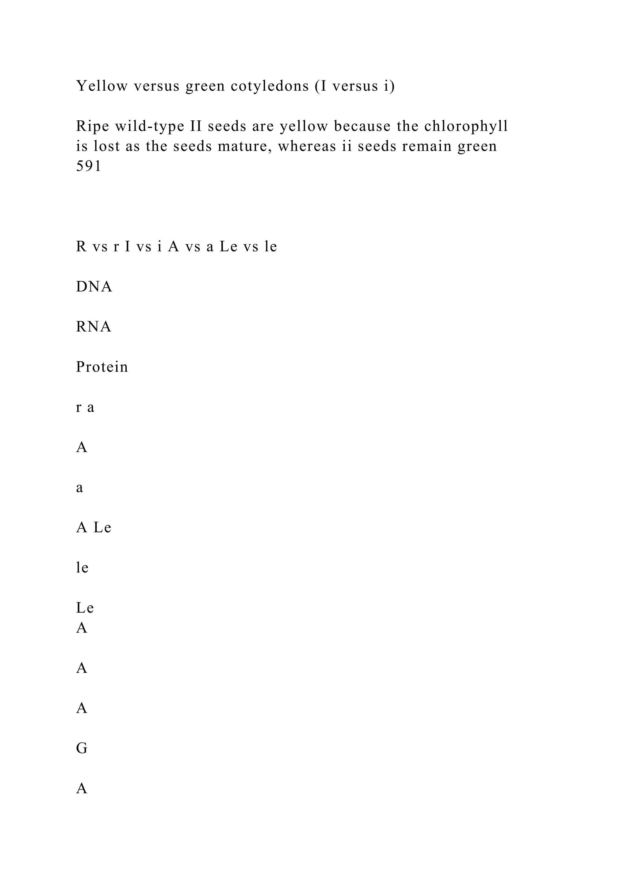 Yellow versus green cotyledons (I versus i)
Ripe wild-type II seeds are yellow because the chlorophyll
is lost as the seeds mature, whereas ii seeds remain green
591
R vs r I vs i A vs a Le vs le
DNA
RNA
Protein
r a
A
a
A Le
le
Le
A
A
A
G
A
 