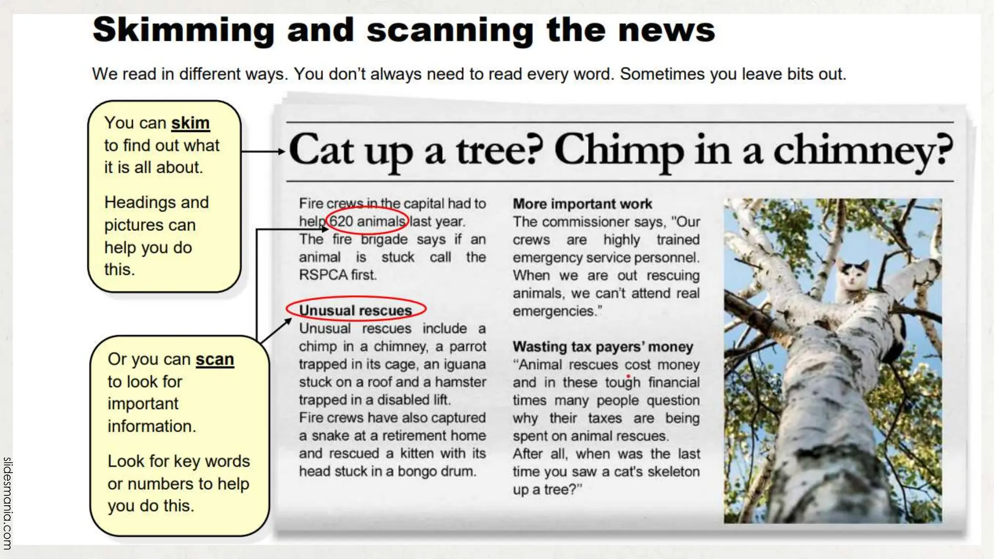 Scanning and Skimming-21st Century Literature | PPTX