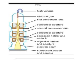 Scanning and transmission electron microscopy | PPTX
