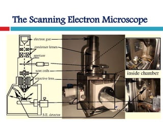 Scanning electron microscope | PPTX | Chemistry | Science