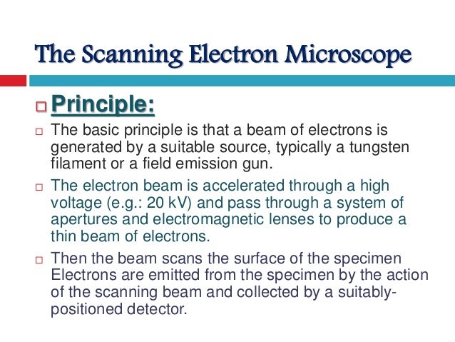 what is a scanning electron microscope