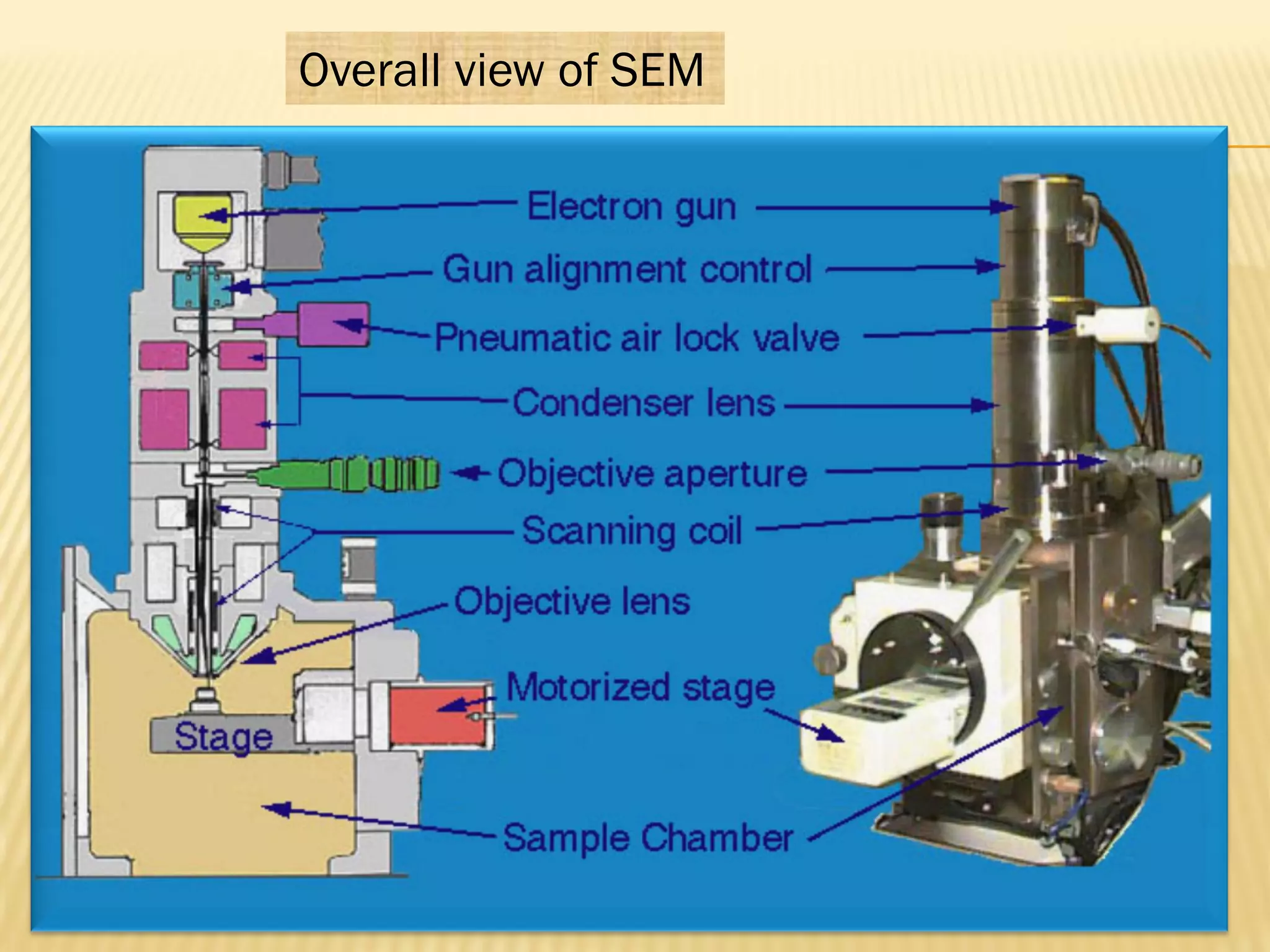 Overall view of SEM
 