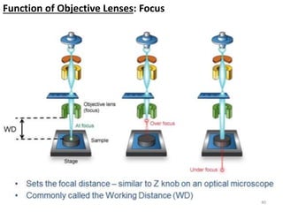 Scanning Lens Microscope Example Scanning Electron Microscope.pptx
