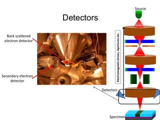 Back scattered
electron detector
Secondary electron
detector
Source
Electromagnetic
lenses,
Apertures
etc.
Specimen
Detect...