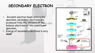 SECONDARY ELECTRON
• Incident electron beam enters the
specimen, secondary electrons are
produced from the emission of the
balance electrons of the constituent
specimen.
• Energy of secondary electrons is very
small
 