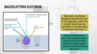 BACKSCATTERD ELECTRON
Electrons scattered
backward and emitted out
of the specimen, when the
incident electrons are
scattered in the specimen.
(reflected electrons. )
Since backscattered
electrons possess higher
energy than secondary
electrons, deep region
contains a backscattered
electrons.
 