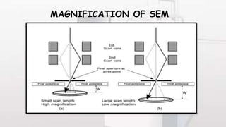 MAGNIFICATION OF SEM
 