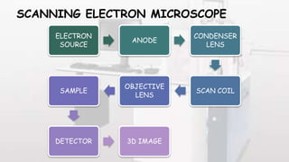 SCANNING ELECTRON MICROSCOPE
ELECTRON
SOURCE
ANODE
CONDENSER
LENS
SCAN COIL
OBJECTIVE
LENS
SAMPLE
DETECTOR 3D IMAGE
 