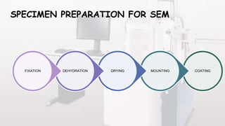 SPECIMEN PREPARATION FOR SEM
COATING
MOUNTING
DRYING
DEHYDRATION
FIXATION
 