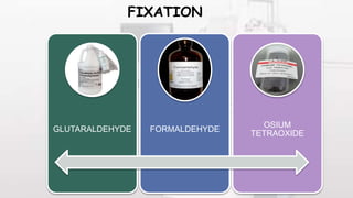 FIXATION
GLUTARALDEHYDE FORMALDEHYDE
OSIUM
TETRAOXIDE
 