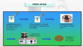 FREEZE-DRYING
 