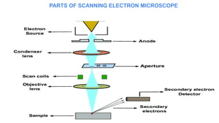 PARTS OF SCANNING ELECTRON MICROSCOPE
 