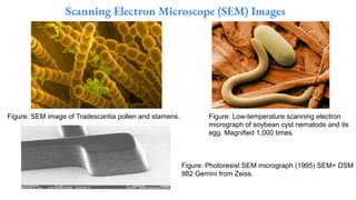 Scanning Electron Microscope (SEM) Images
Figure: SEM image of Tradescantia pollen and stamens. Figure: Low-temperature scanning electron
micrograph of soybean cyst nematode and its
egg. Magnified 1,000 times.
Figure: Photoresist SEM micrograph (1995) SEM= DSM
982 Gemini from Zeiss.
 