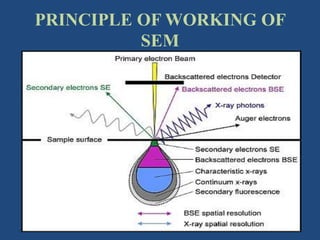 Scanning electron microscope (sem) | PPTX