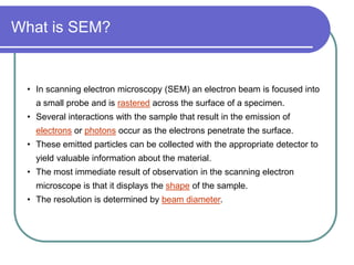 Scanning Electron Microscope (SEM).pdf op | PDF