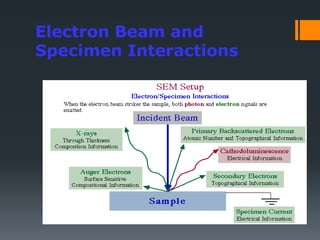 Scanning electron microscopy | PPTX