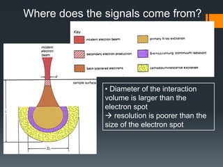 Scanning electron microscopy | PPTX