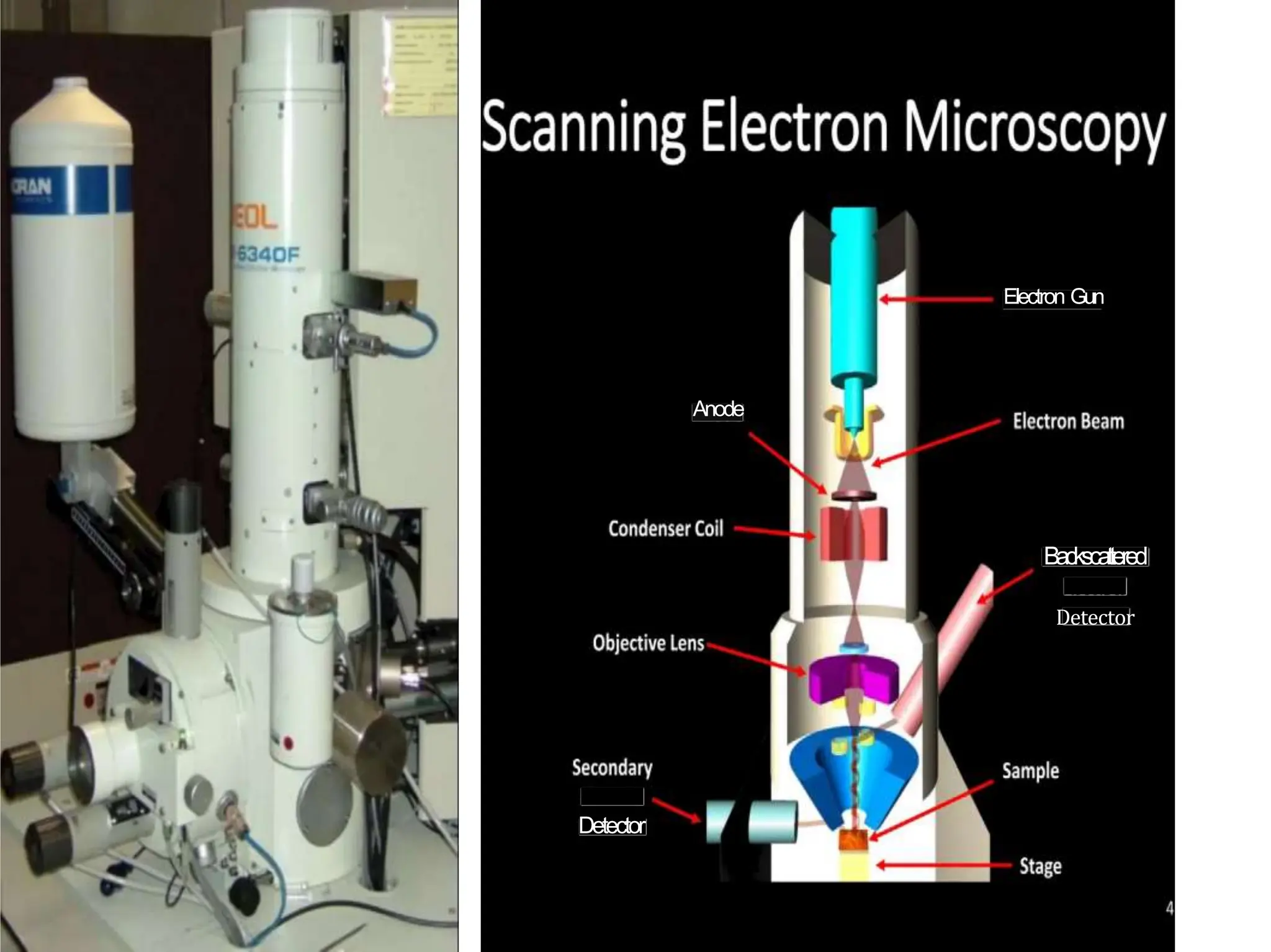 Scanning Electron Microscopy techniquess | PPT