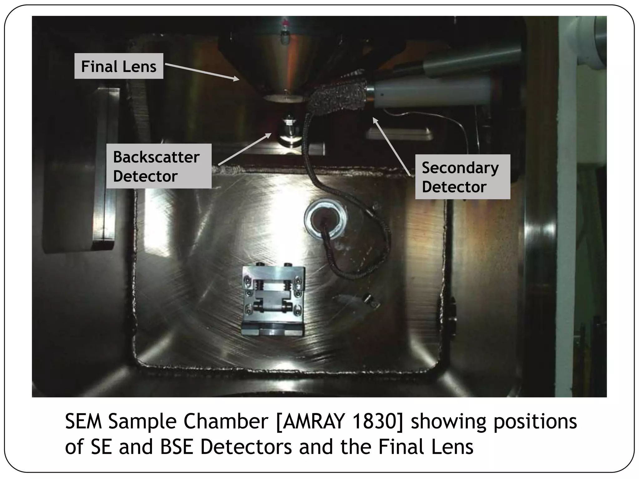 Final Lens

Backscatter
Detector

Secondary
Detector

SEM Sample Chamber [AMRAY 1830] showing positions
of SE and BSE Detectors and the Final Lens

 