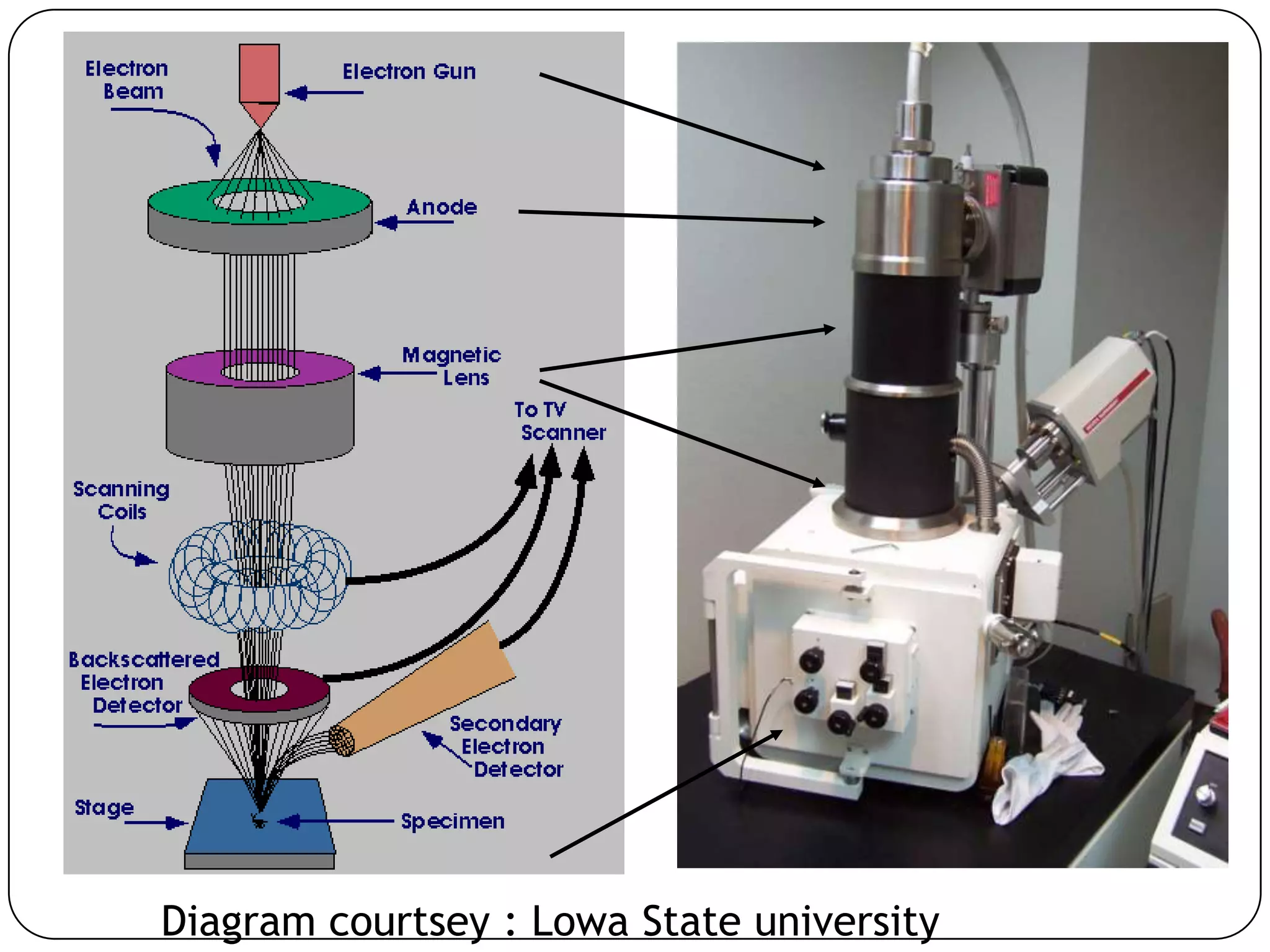 Diagram courtsey : Lowa State university

 