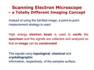 Scanning Electron Microscopy (SEM) Analysis.pdf
